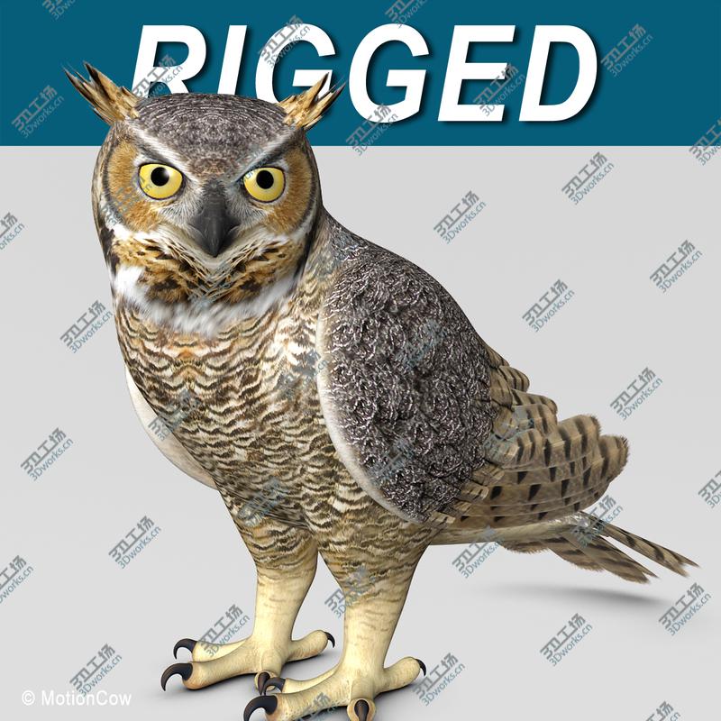images/goods_img/20210319/Great Horned Owl  Folded Wings/1.jpg